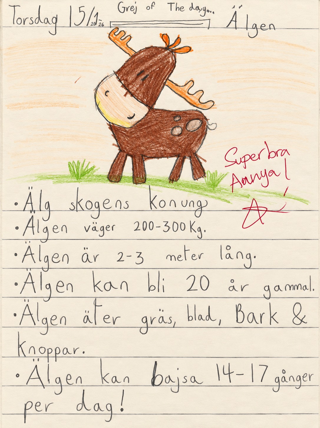 Aanyas anteckningssida